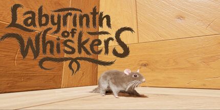 御三家Game-胡须的迷宫