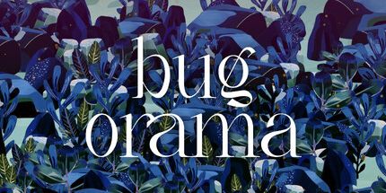 御三家Game-bugorama