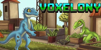 御三家Game-体素质