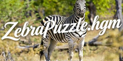 御三家Game-ZebraPuzzle.hgm