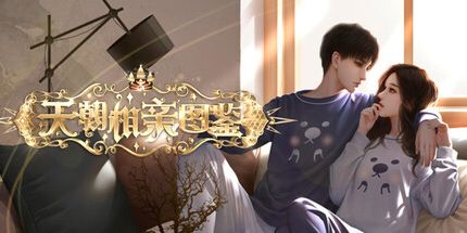 御三家Game-天朝相亲图鉴