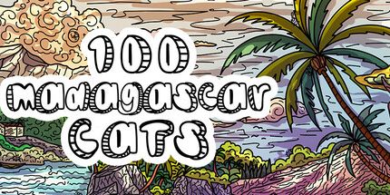 御三家Game-100马达加斯加猫