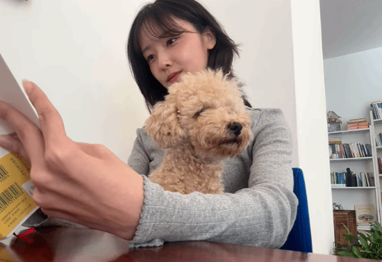 御三家Game-undefined