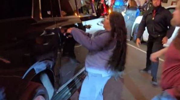 御三家Game-undefined