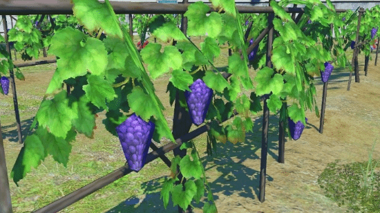 御三家Game-undefined