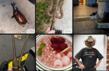 御三家Game-undefined