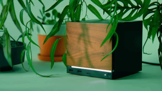 御三家Game-undefined