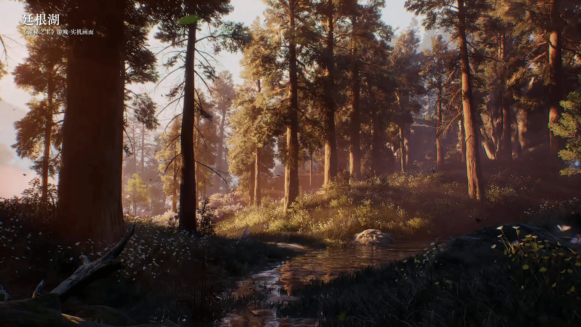 御三家Game-undefined