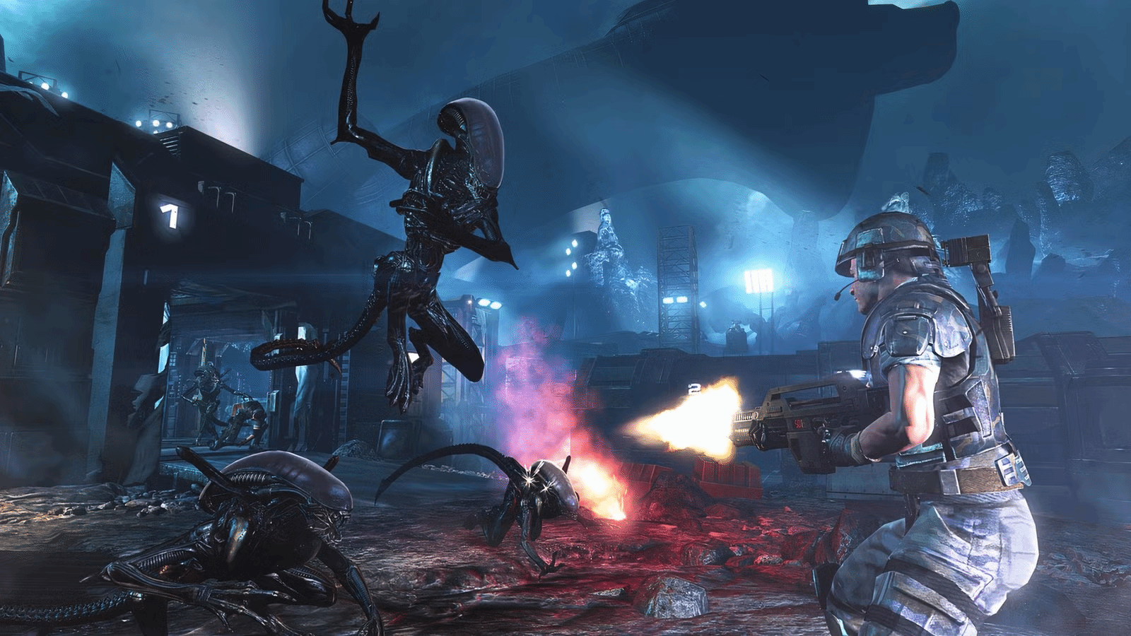 御三家Game-undefined