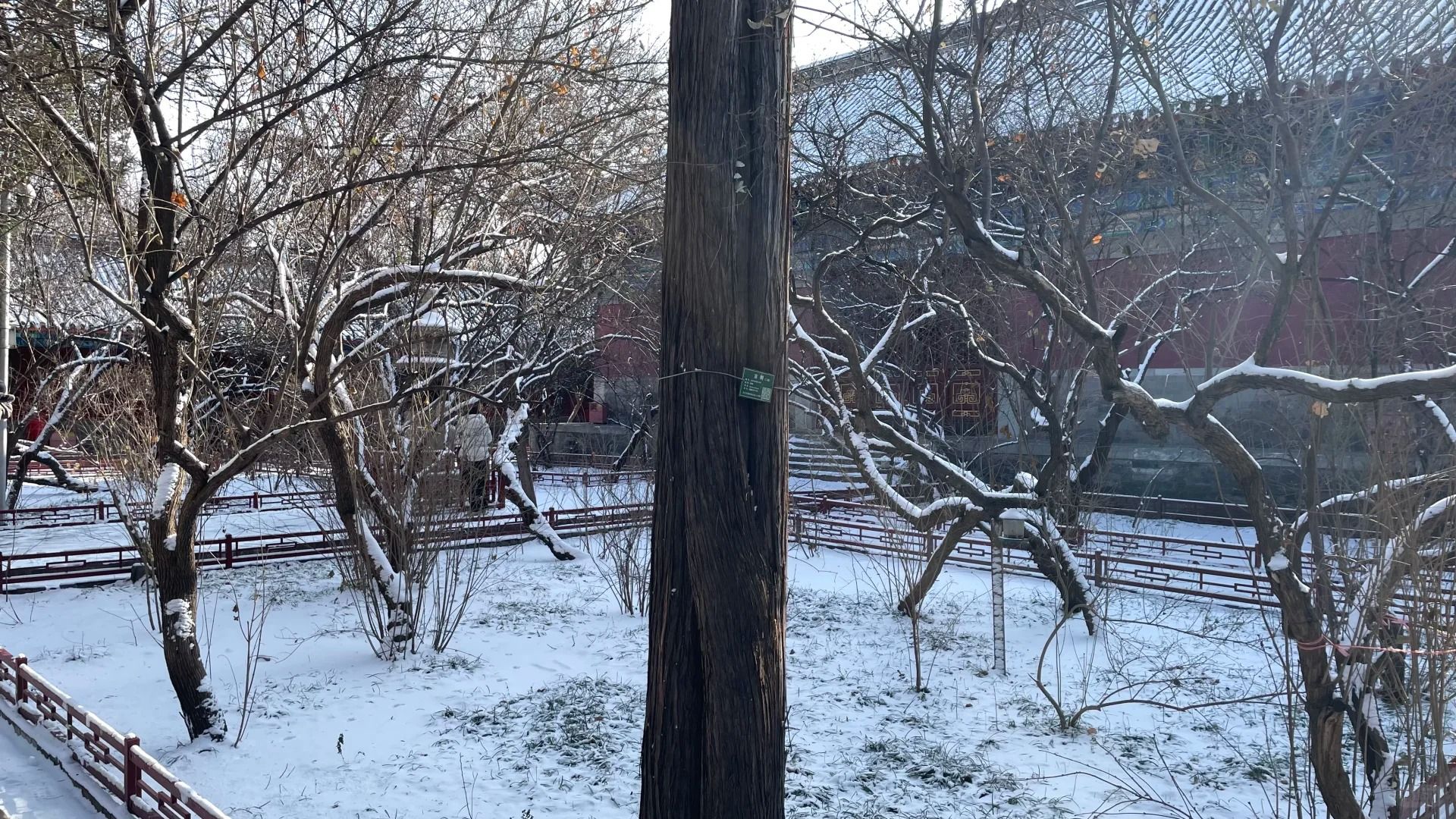 御三家Game-undefined