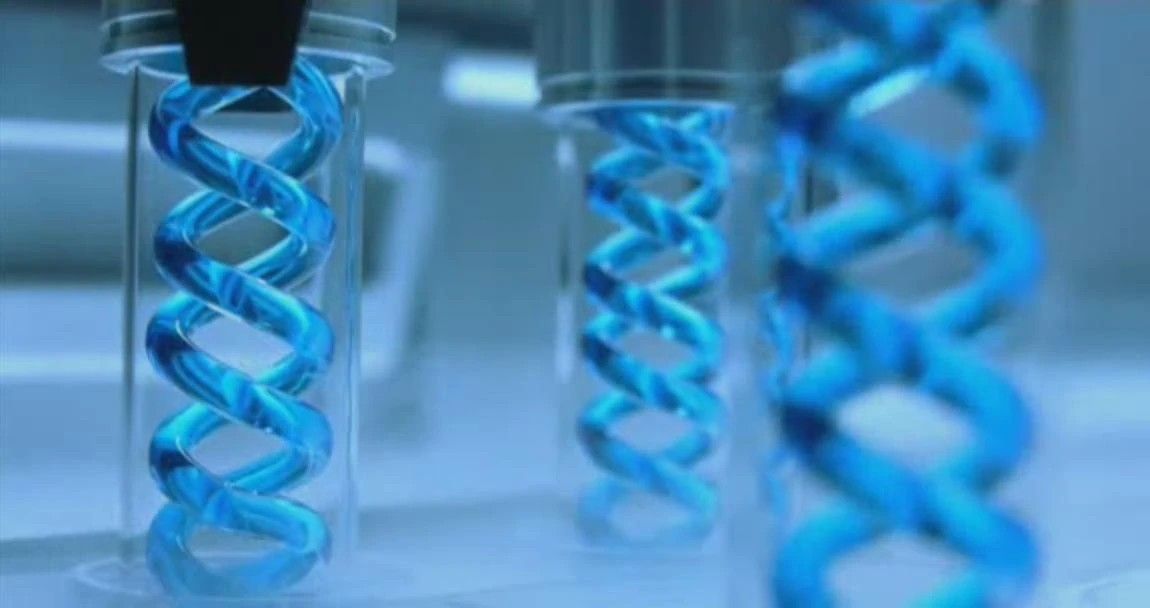 御三家Game-undefined