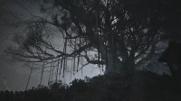 御三家Game-undefined 御三家Game-undefined