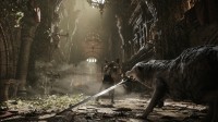 御三家Game-undefined 御三家Game-undefined