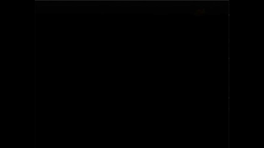 御三家Game-视频-【御三家Game】《Derpy鱼 》游戏宣传片