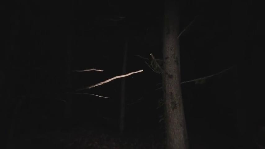 御三家Game-视频-【御三家Game】《死沉默-该死的回声 》游戏宣传片