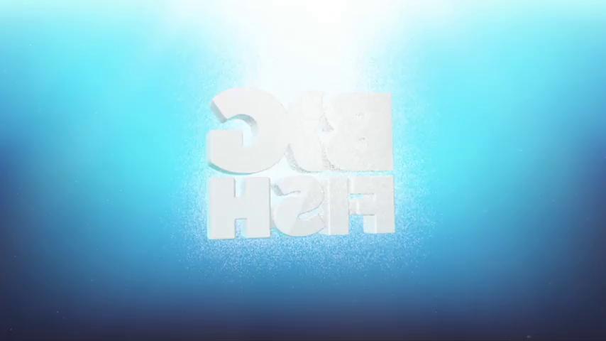 御三家Game-视频-【御三家Game】《耳语的秘密: 病态的痴迷收藏版 》游戏宣传片