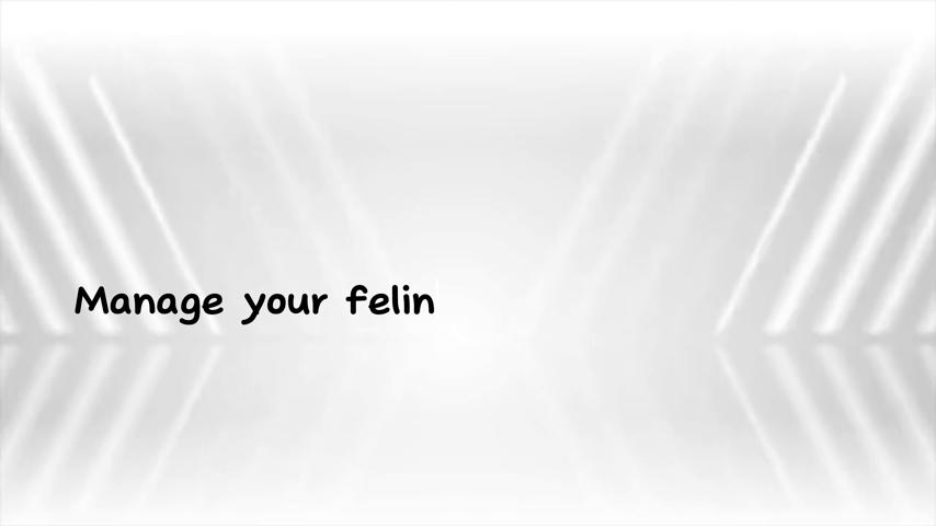 御三家Game-视频-【御三家Game】《猫的投票 》游戏宣传片