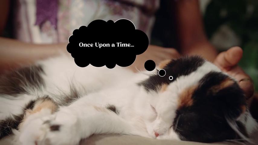 御三家Game-视频-【御三家Game】《隐藏的形状-猫的境界 》游戏宣传片