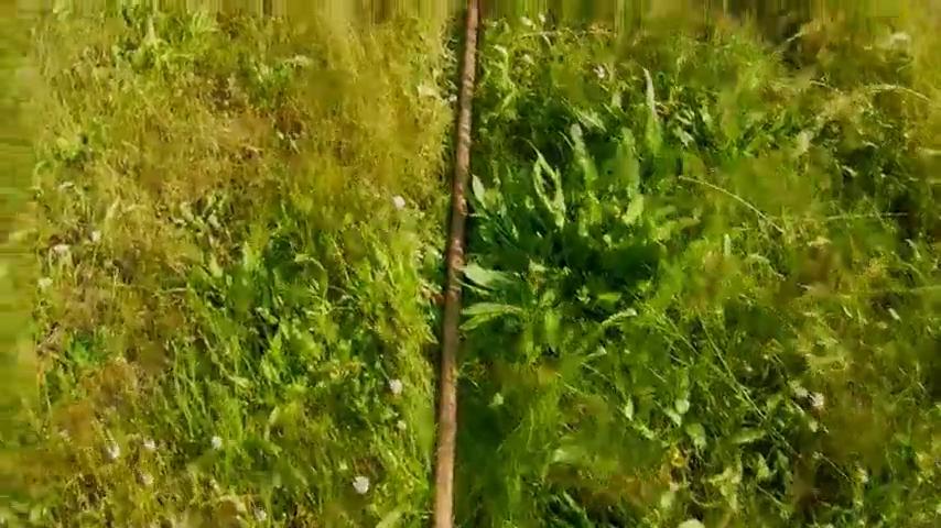 御三家Game-视频-【御三家Game】《星际之翼:黄金版 》游戏宣传片