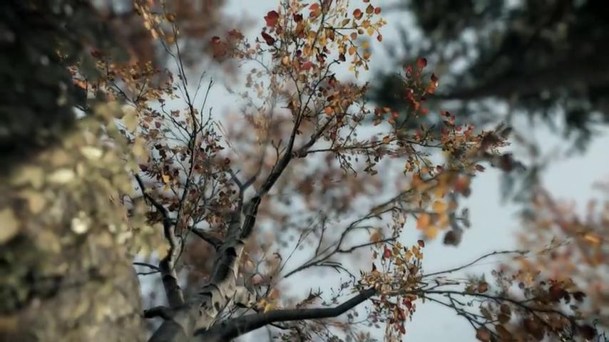 御三家Game-视频-【御三家Game】《迷失山谷 》游戏宣传片