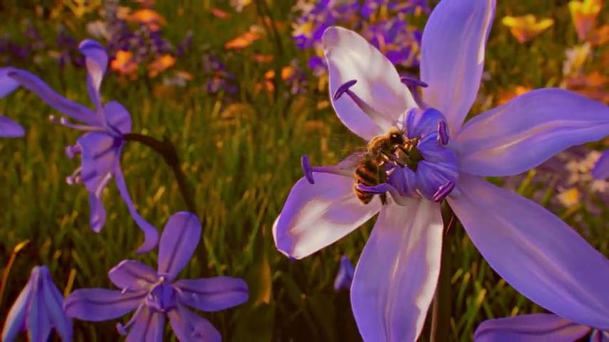 御三家Game-视频-【御三家Game】《蜂巢:异星物语 》游戏宣传片