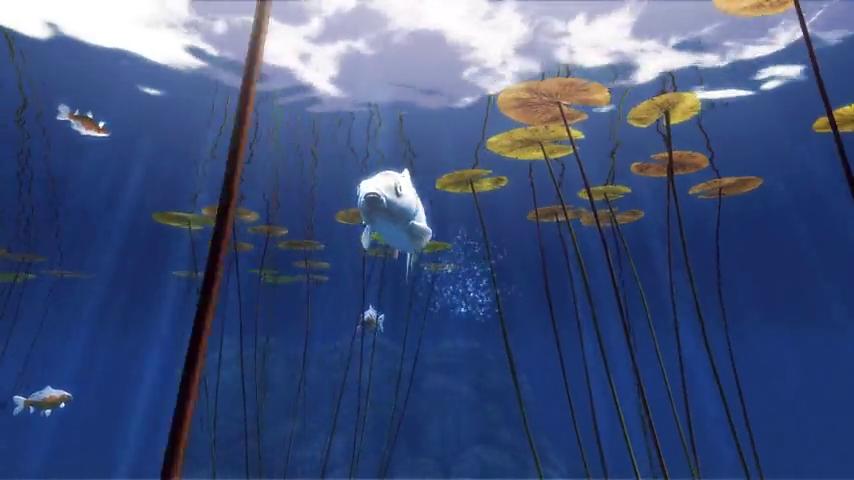 御三家Game-视频-【御三家Game】《我的锦鲤 》游戏宣传片