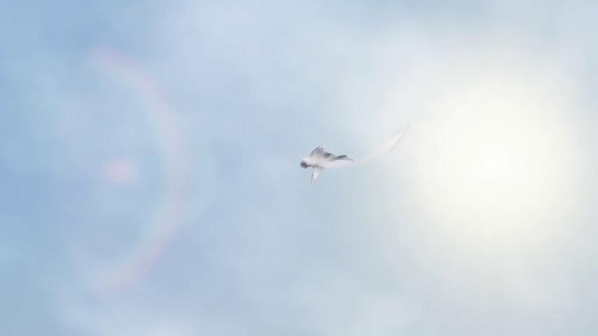 御三家Game-视频-【御三家Game】《Goosey猜测 》游戏宣传片