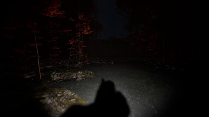 御三家Game-视频-【御三家Game】《Mothman 》游戏宣传片