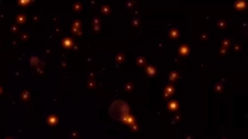 御三家Game-视频-【御三家Game】《勇敢者 》游戏宣传片