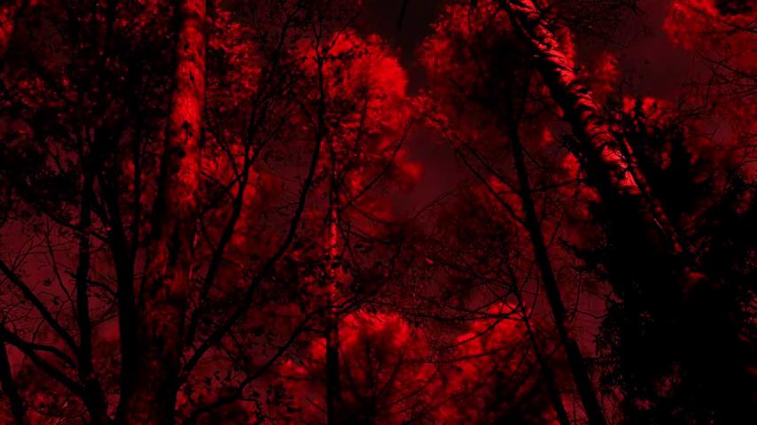 御三家Game-视频-【御三家Game】《幻象 》游戏宣传片