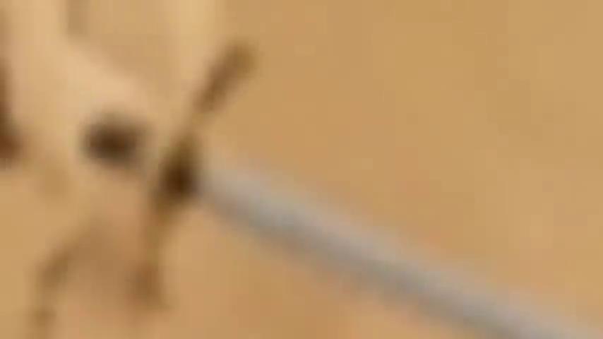 御三家Game-视频-【御三家Game】《奇怪的RPG 》游戏宣传片