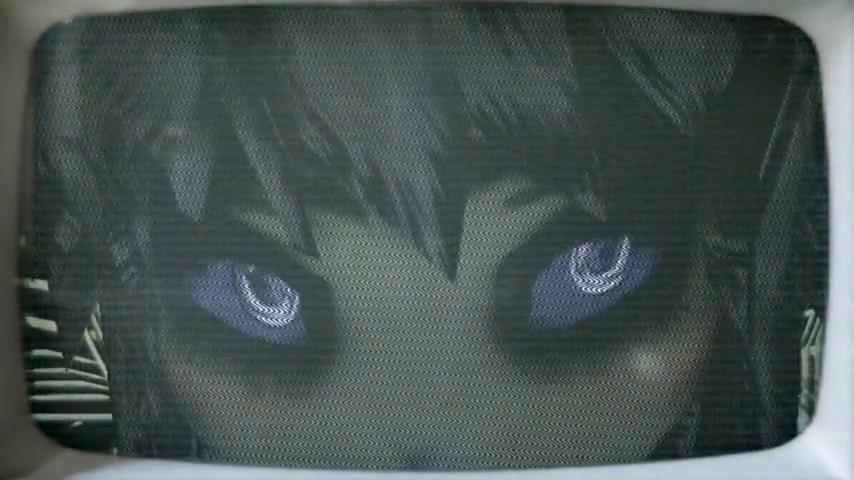 御三家Game-视频-【御三家Game】《Peripeteia 》游戏宣传片