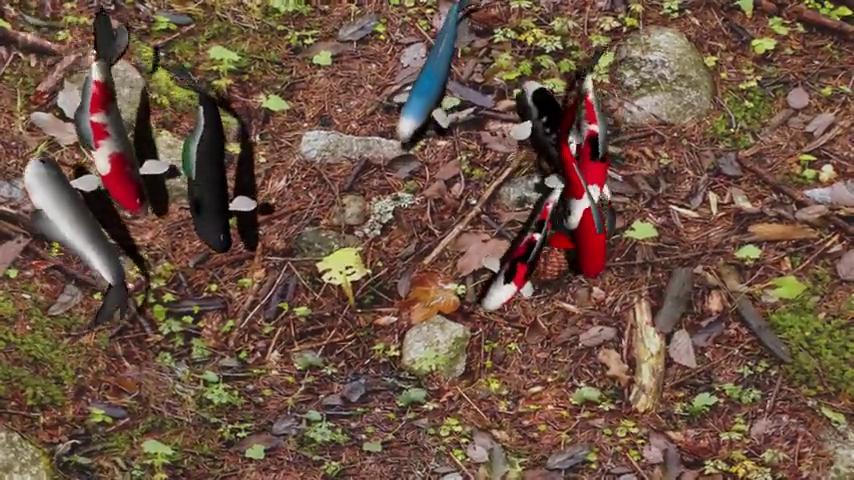 御三家Game-视频-【御三家Game】《锦鲤花园 》游戏宣传片