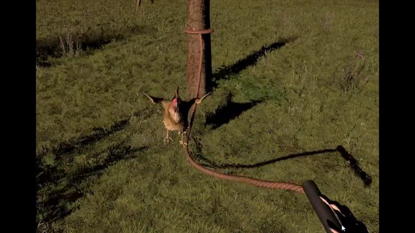 御三家Game-视频-【御三家Game】《快走!鸡跳! 》游戏宣传片