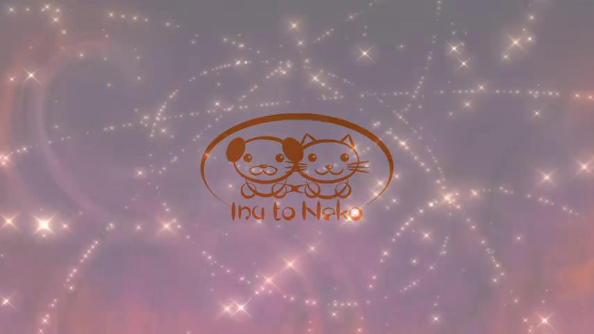 御三家Game-视频-【御三家Game】《魔女的巫术教室 》游戏宣传片