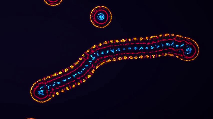 御三家Game-视频-【御三家Game】《参数生命：实验室 》游戏宣传片