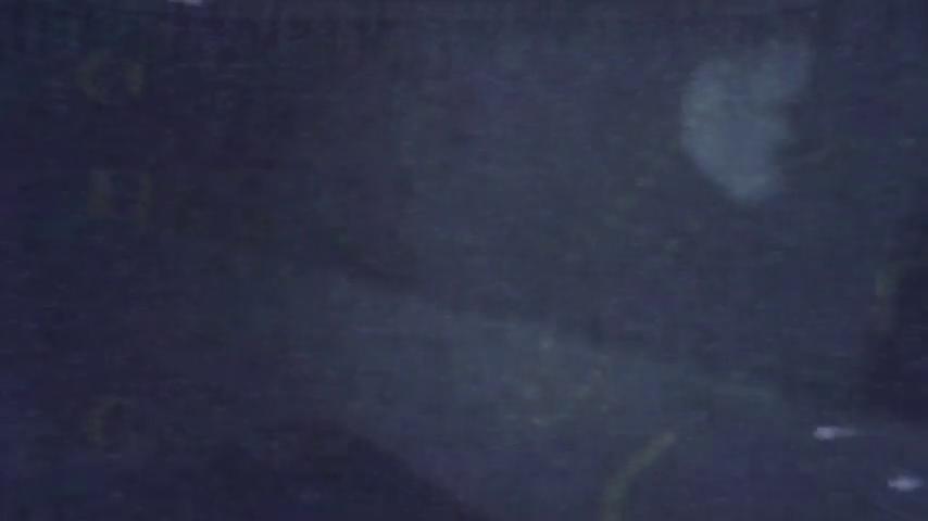 御三家Game-视频-【御三家Game】《TELEFORUM 》游戏宣传片