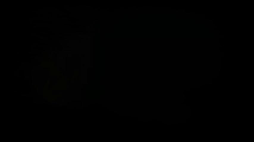 御三家Game-视频-【御三家Game】《栖云异梦 》游戏宣传片