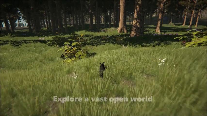 御三家Game-视频-【御三家Game】《猫的生活 》游戏宣传片