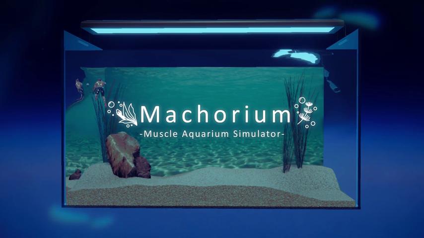 御三家Game-视频-【御三家Game】《壮士水族馆 -肌肉水族馆模拟器- 》游戏宣传片