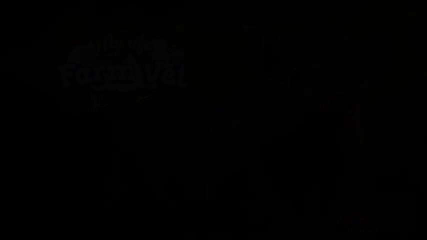 御三家Game-视频-【御三家Game】《我的生活: 农场兽医 》游戏宣传片