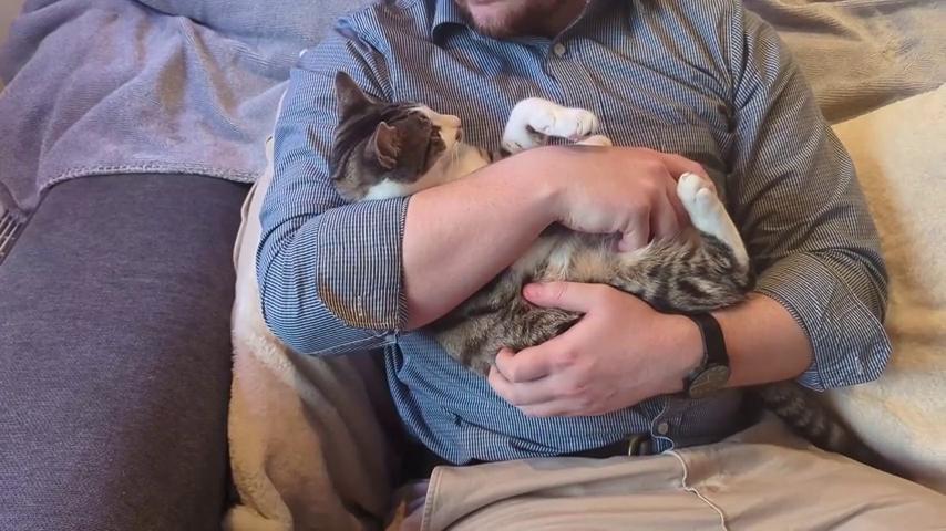 御三家Game-视频-【御三家Game】《微生物混乱 》游戏宣传片