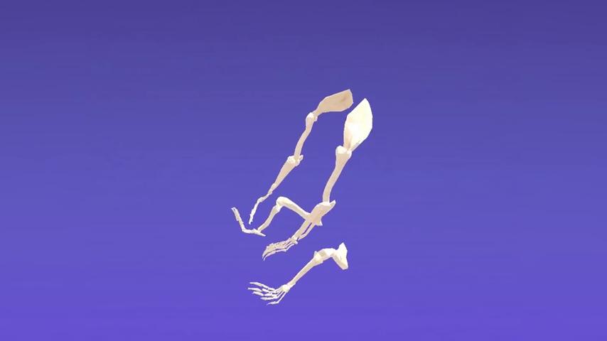 御三家Game-视频-【御三家Game】《空闲动物解剖学 》游戏宣传片