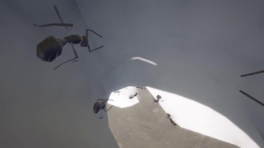 御三家Game-视频-【御三家Game】《蚂蚁保持模拟器 》游戏宣传片