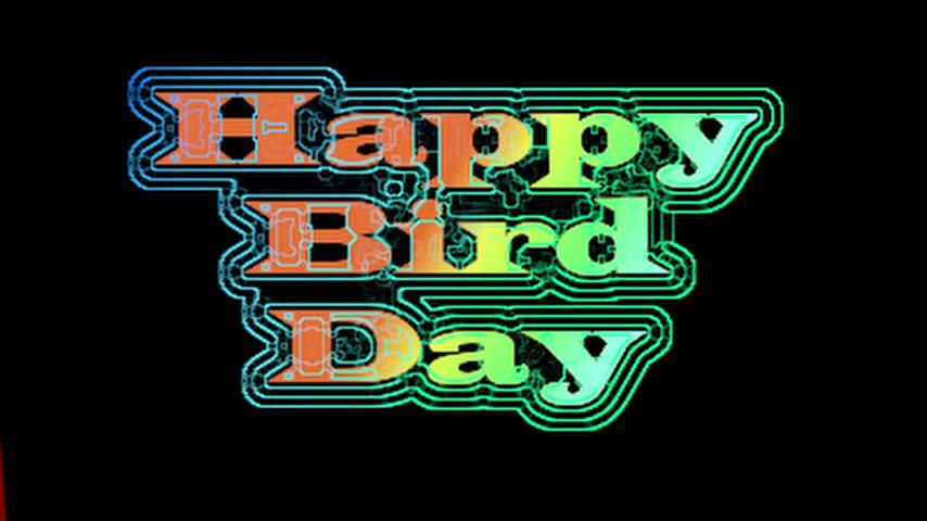 御三家Game-视频-【御三家Game】《快乐的鸟儿日 》游戏宣传片