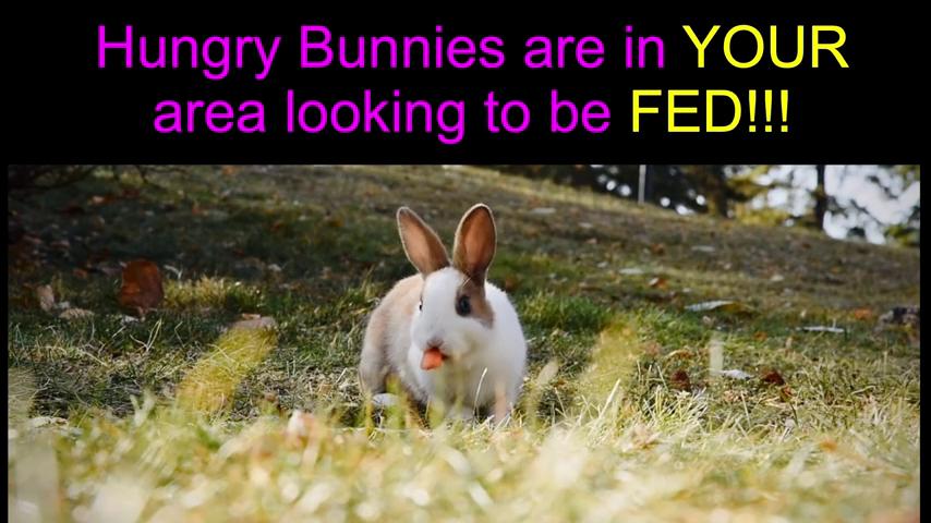 御三家Game-视频-【御三家Game】《MopGarden的素食推车 》游戏宣传片