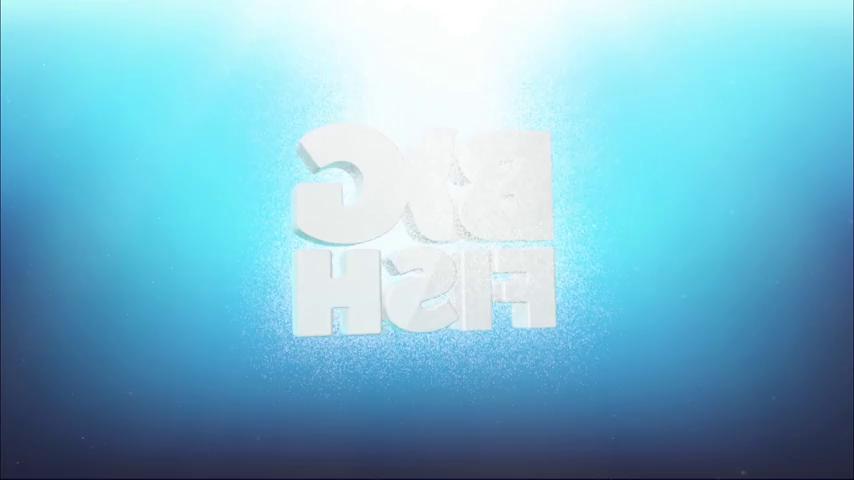 御三家Game-视频-【御三家Game】《神秘案件档案: 反思收藏版中的犯罪 》游戏宣传片