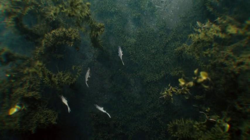 御三家Game-视频-【御三家Game】《坦克世界 》游戏宣传片