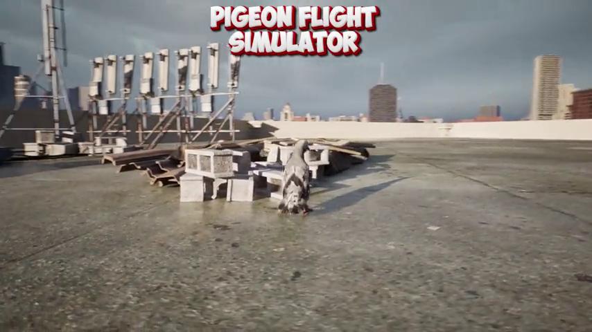 御三家Game-视频-【御三家Game】《鸽子飞行模拟器 》游戏宣传片