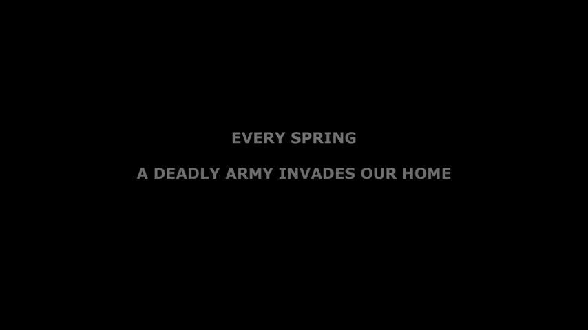 御三家Game-视频-【御三家Game】《家庭战争 》游戏宣传片